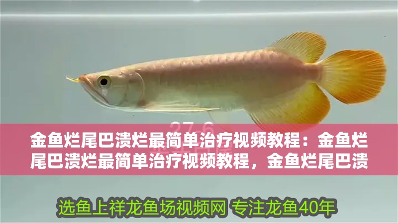 金魚爛尾巴潰爛最簡單治療視頻教程：金魚爛尾巴潰爛最簡單治療視頻教程，金魚爛尾巴潰爛怎么辦