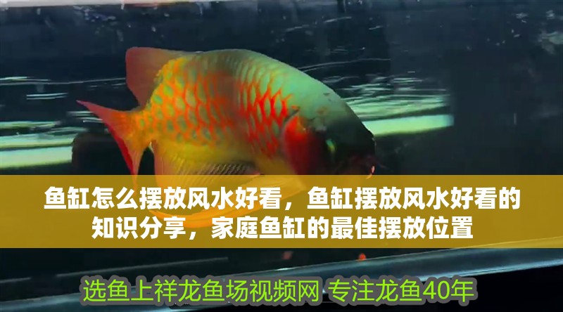 魚(yú)缸怎么擺放風(fēng)水好看，魚(yú)缸擺放風(fēng)水好看的知識(shí)分享，家庭魚(yú)缸的最佳擺放位置