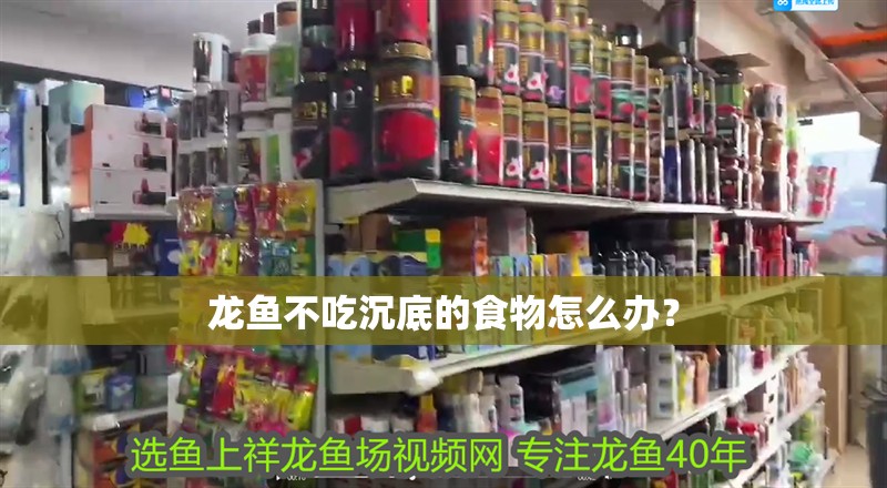 龍魚不吃沉底的食物怎么辦？