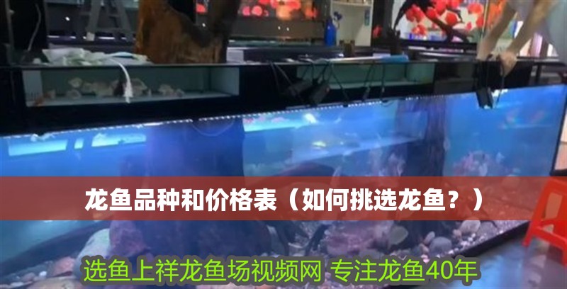 龍魚品種和價格表(如何挑選龍魚?) 觀賞魚百科 第3張 龍魚品種和價格表(如何挑選龍魚?) 龍魚品種和價格表(如何挑選龍魚?) 觀賞魚百科 第3張