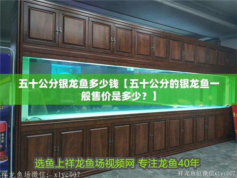五十公分銀龍魚(yú)多少錢(qián)【五十公分的銀龍魚(yú)一般售價(jià)是多少？】