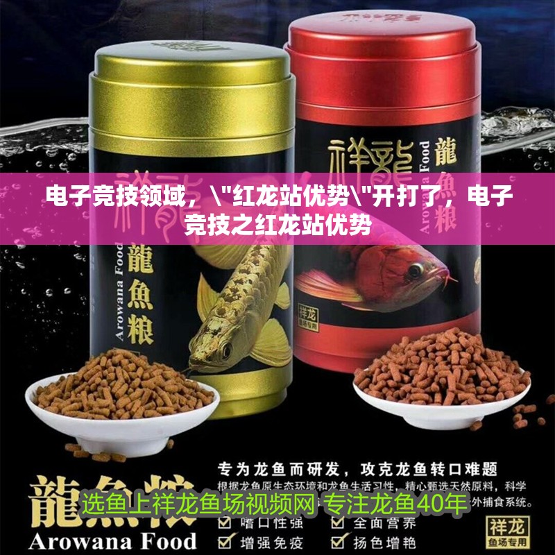 電子競技領域，\