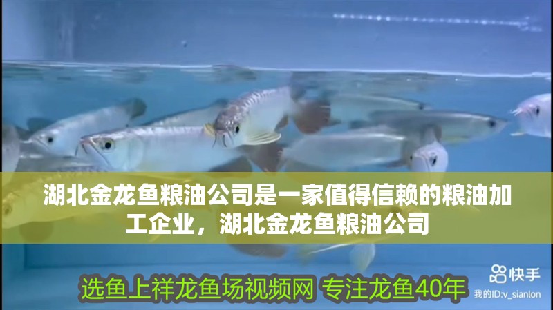 湖北金龍魚糧油公司是一家值得信賴的糧油加工企業，湖北金龍魚糧油公司