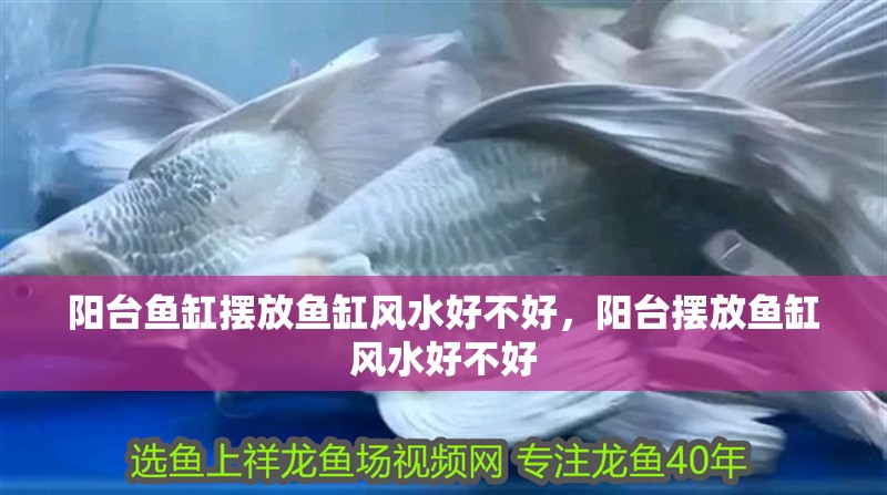 陽臺魚缸擺放魚缸風(fēng)水好不好，陽臺擺放魚缸風(fēng)水好不好
