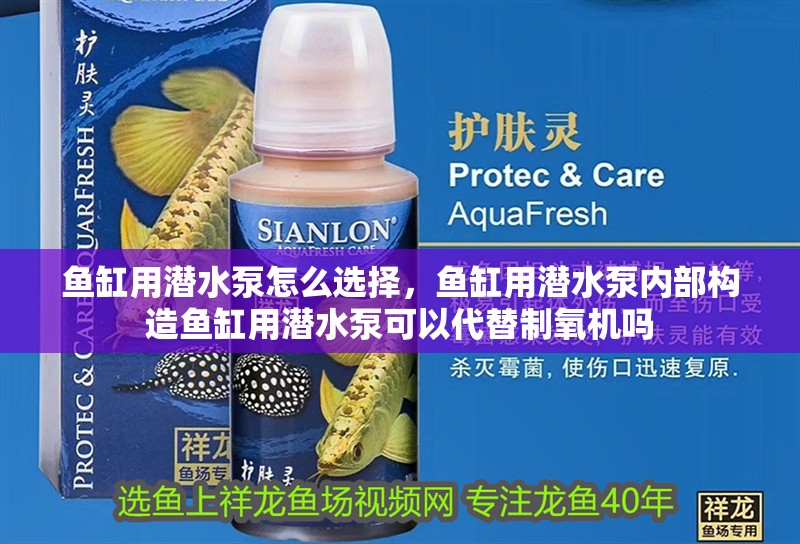 魚缸用潛水泵怎么選擇，魚缸用潛水泵內(nèi)部構(gòu)造魚缸用潛水泵可以代替制氧機(jī)嗎