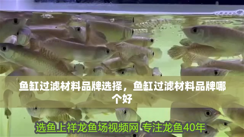 魚(yú)缸過(guò)濾材料品牌選擇，魚(yú)缸過(guò)濾材料品牌哪個(gè)好