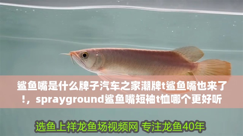 鯊魚(yú)嘴是什么牌子汽車之家潮牌t鯊魚(yú)嘴也來(lái)了!，sprayground鯊魚(yú)嘴短袖t恤哪個(gè)更好聽(tīng)