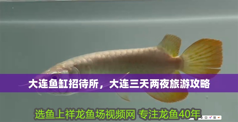 大連魚缸招待所，大連三天兩夜旅游攻略