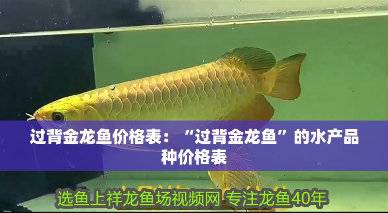 過背金龍魚價格表：“過背金龍魚”的水產品種價格表