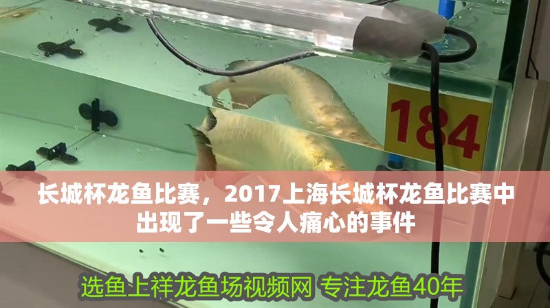 長城杯龍魚比賽，2017上海長城杯龍魚比賽中出現了一些令人痛心的事件