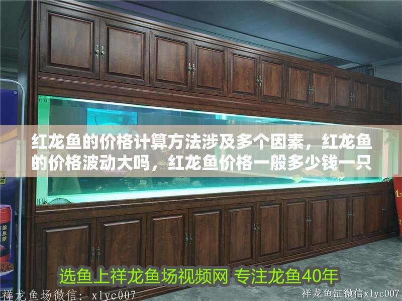 紅龍魚的價格計算方法涉及多個因素，紅龍魚的價格波動大嗎，紅龍魚價格一般多少錢一只？
