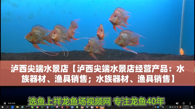 瀘西尖端水景店【瀘西尖端水景店經營產品：<strong><mark>水族器材</mark></strong>、漁具銷售；<strong><mark>水族器材</mark></strong>、漁具銷售】