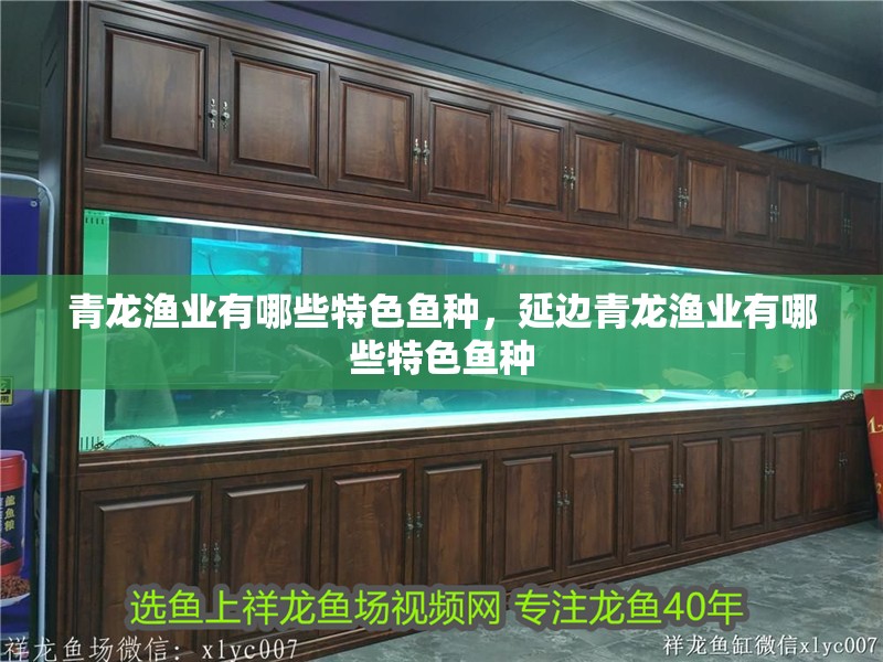 青龍漁業(yè)有哪些特色魚種，延邊青龍漁業(yè)有哪些特色魚種