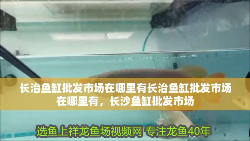 長治魚缸批發市場在哪里有長治魚缸批發市場在哪里有，長沙魚缸批發市場