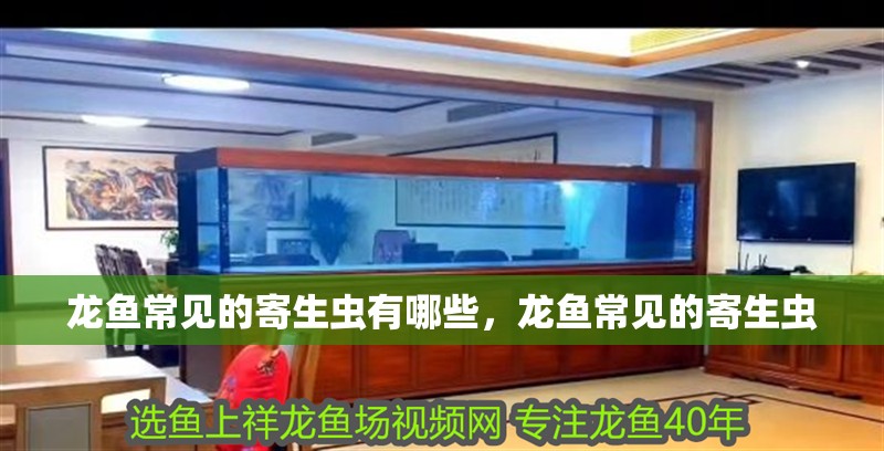 龍魚常見的寄生蟲有哪些，龍魚常見的寄生蟲