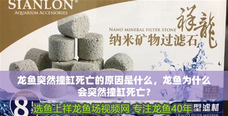 龍魚突然撞缸死亡的原因是什么，龍魚為什么會突然撞缸死亡？