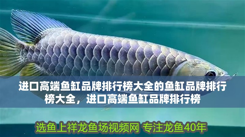 進口高端魚缸品牌排行榜大全的魚缸品牌排行榜大全，進口高端魚缸品牌排行榜