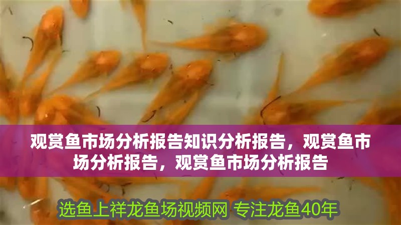 觀賞魚市場分析報告知識分析報告，觀賞魚市場分析報告，觀賞魚市場分析報告