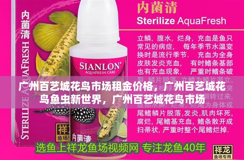 廣州百藝城花鳥(niǎo)市場(chǎng)租金價(jià)格，廣州百藝城花鳥(niǎo)魚(yú)蟲(chóng)新世界，廣州百藝城花鳥(niǎo)市場(chǎng)