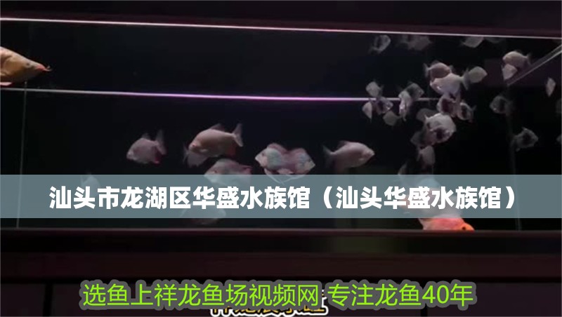 汕頭市龍湖區(qū)華盛水族館（汕頭華盛水族館）