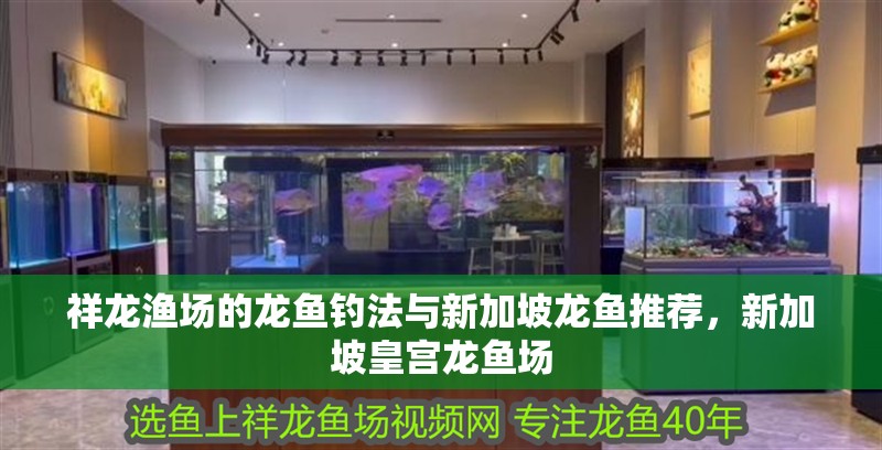 祥龍漁場的龍魚釣法與新加坡龍魚推薦，新加坡皇宮龍魚場