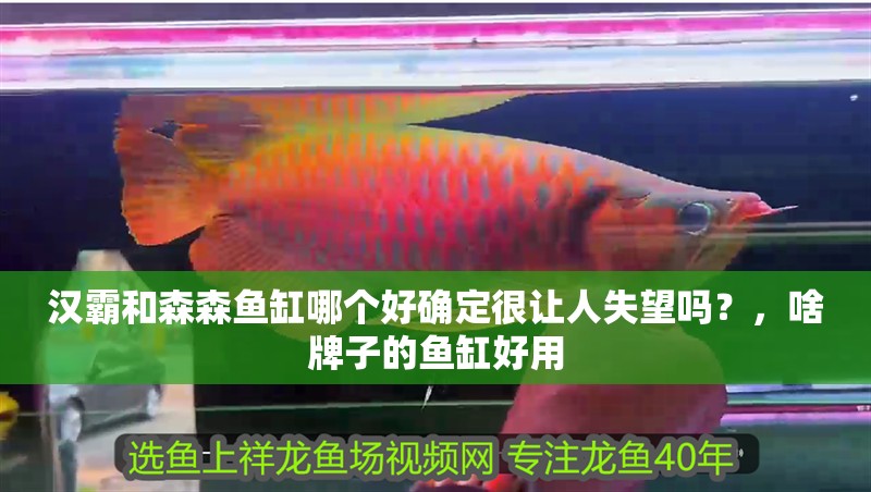 漢霸和森森魚缸哪個好確定很讓人失望嗎？，啥牌子的魚缸好用