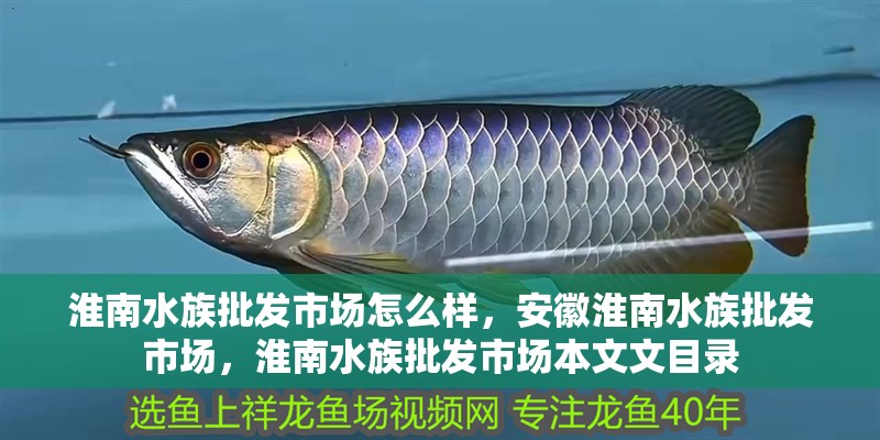 淮南水族批發(fā)市場怎么樣，安徽淮南水族批發(fā)市場，淮南水族批發(fā)市場本文文目錄