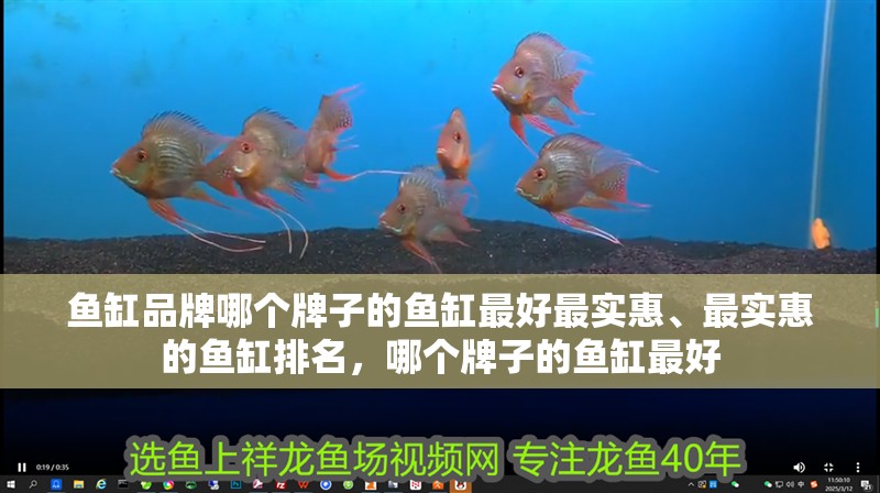 魚缸品牌哪個牌子的魚缸最好最實惠、最實惠的魚缸排名，哪個牌子的魚缸最好