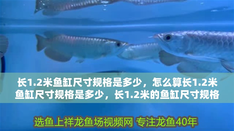 長1.2米魚缸尺寸規格是多少，怎么算長1.2米魚缸尺寸規格是多少，長1.2米的魚缸尺寸規格是多少呢怎么算