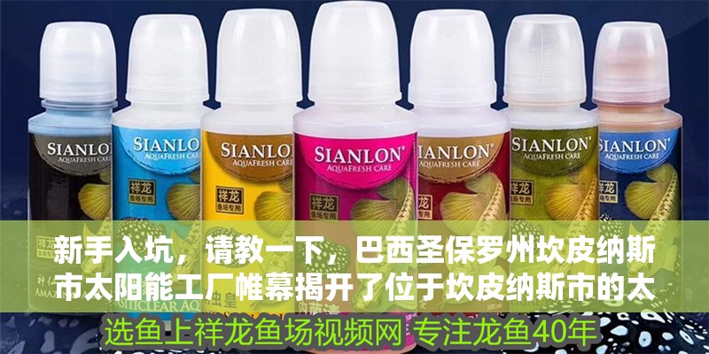 新手入坑，請教一下，巴西圣保羅州坎皮納斯市太陽能工廠帷幕揭開了位于坎皮納斯市的太陽能工廠帷幕 新手入坑，請教一下，巴西圣保羅州坎皮納斯市太陽能工廠帷幕揭開了位于坎皮納斯市的太陽能工廠帷幕 觀賞魚百科 第2張