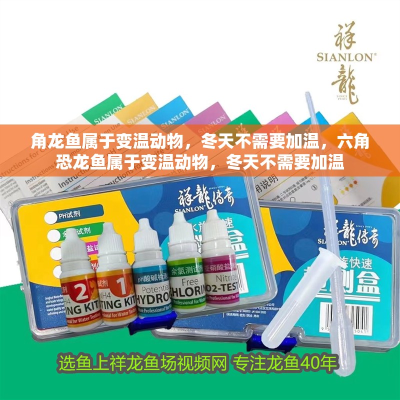 角龍魚屬于變溫動物，冬天不需要加溫，六角恐龍魚屬于變溫動物，冬天不需要加溫