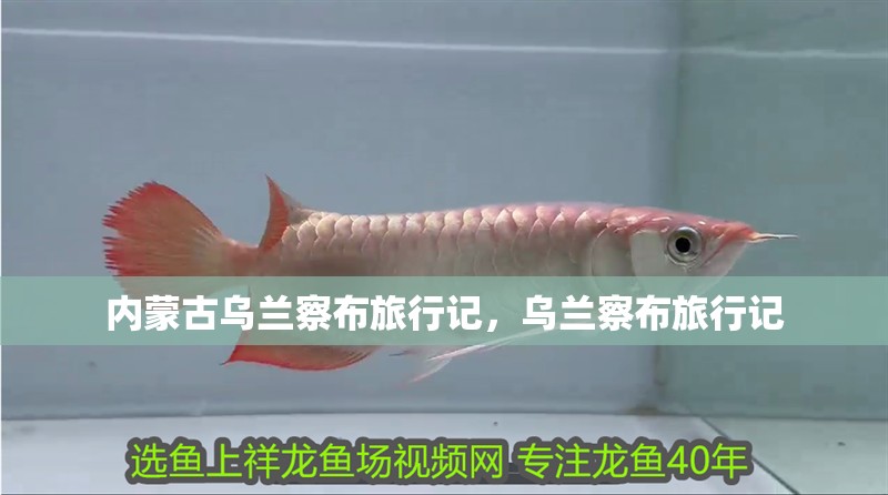 內(nèi)蒙古烏蘭察布旅行記，烏蘭察布旅行記