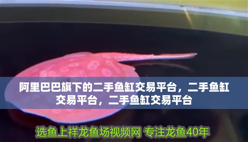 阿里巴巴旗下的二手魚缸交易平臺(tái)，二手魚缸交易平臺(tái)，二手魚缸交易平臺(tái)