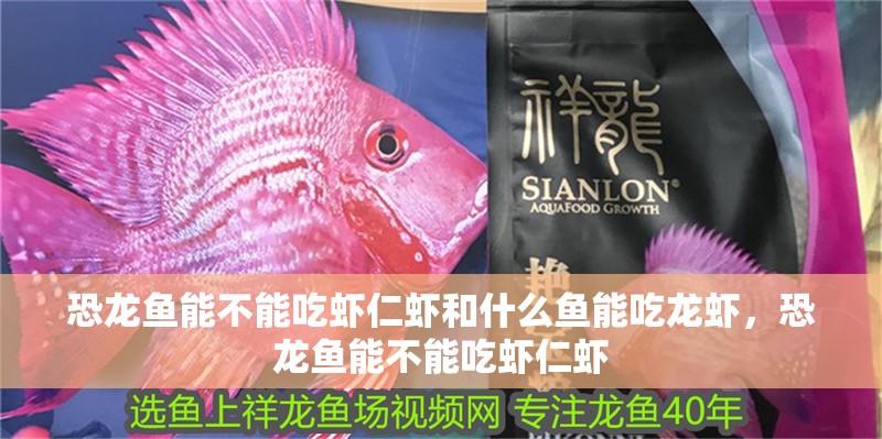 恐龍魚能不能吃蝦仁蝦和什么魚能吃龍蝦，恐龍魚能不能吃蝦仁蝦