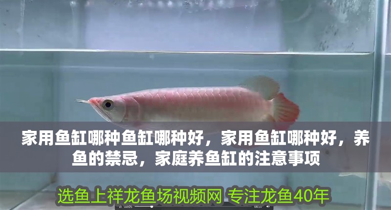 家用魚缸哪種魚缸哪種好，家用魚缸哪種好，養魚的禁忌，家庭養魚缸的注意事項