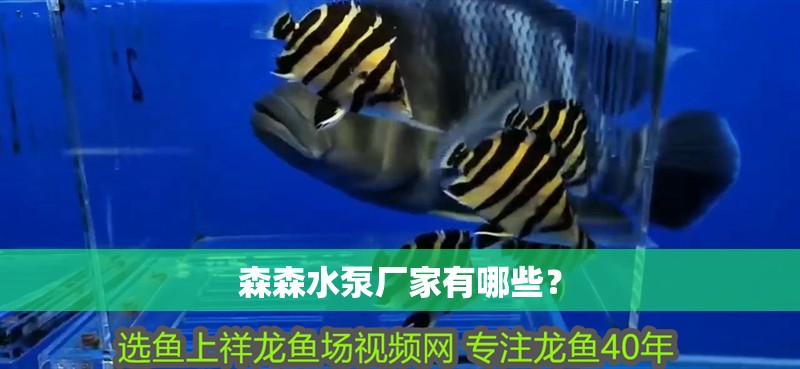 森森水泵廠家有哪些？