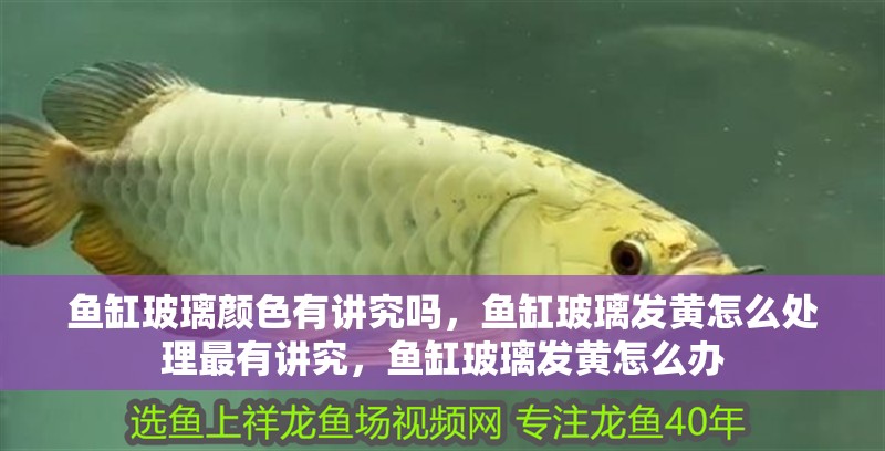 魚缸玻璃顏色有講究嗎，魚缸玻璃發黃怎么處理最有講究，魚缸玻璃發黃怎么辦