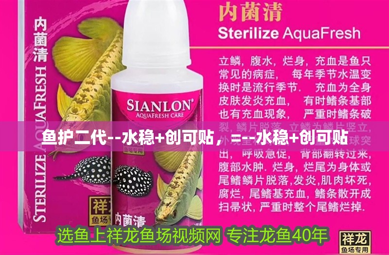 魚護二代--水穩(wěn)+創(chuàng)可貼，=--水穩(wěn)+創(chuàng)可貼