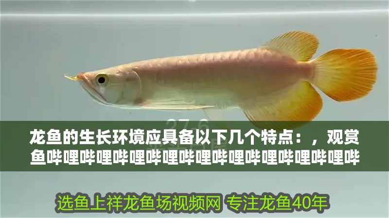 龍魚的生長環境應具備以下幾個特點：，觀賞魚嗶哩嗶哩嗶哩嗶哩嗶哩嗶哩嗶哩嗶哩嗶哩嗶哩嗶哩龍魚