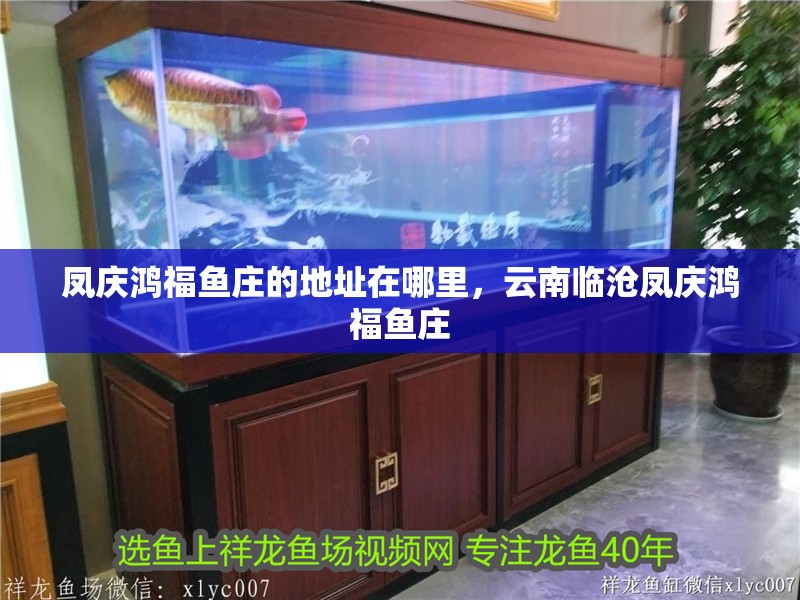 鳳慶鴻福魚莊的地址在哪里，云南臨滄鳳慶鴻福魚莊