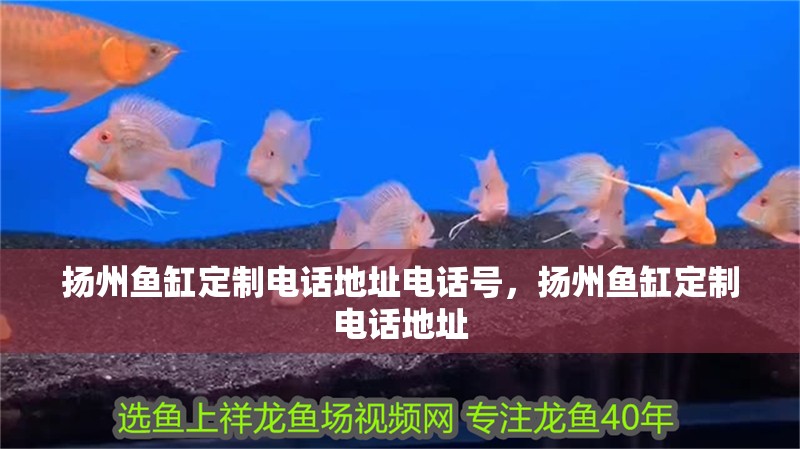揚州魚缸定制電話地址電話號，揚州魚缸定制電話地址