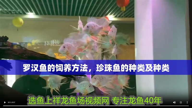羅漢魚的飼養方法，珍珠魚的種類及種類