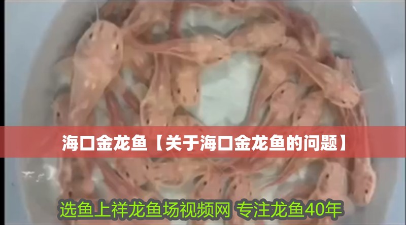 ?？诮瘕堲~【關于海口金龍魚的問題】