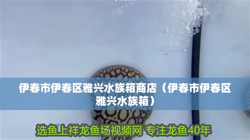 伊春市伊春區雅興水族箱商店（伊春市伊春區雅興水族箱）