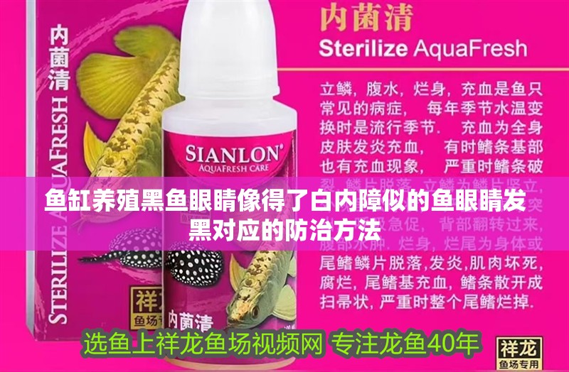魚缸養殖黑魚眼睛像得了白內障似的魚眼睛發黑對應的防治方法