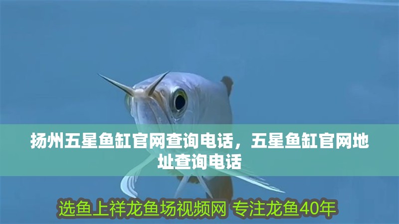 揚州五星魚缸官網查詢電話，五星魚缸官網地址查詢電話