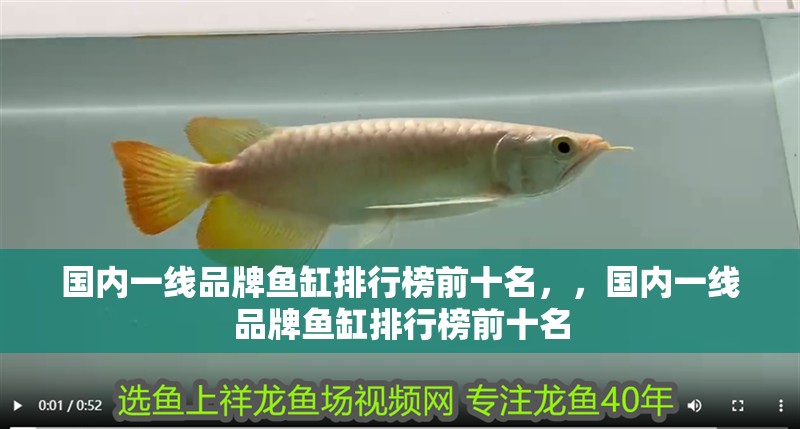 國內(nèi)一線品牌魚缸排行榜前十名，，國內(nèi)一線品牌魚缸排行榜前十名