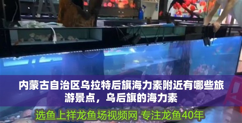 內(nèi)蒙古自治區(qū)烏拉特后旗海力素附近有哪些旅游景點(diǎn)，烏后旗的海力素