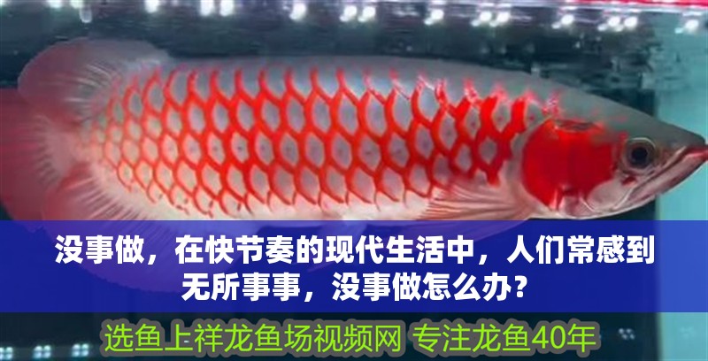 沒事做，在快節奏的現代生活中，人們常感到無所事事，沒事做怎么辦？