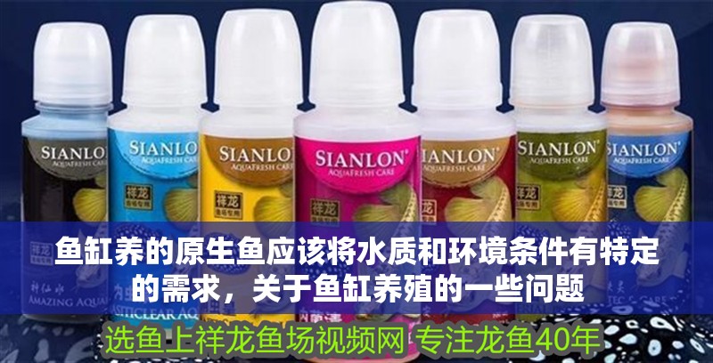 魚缸養的原生魚應該將水質和環境條件有特定的需求，關于魚缸養殖的一些問題